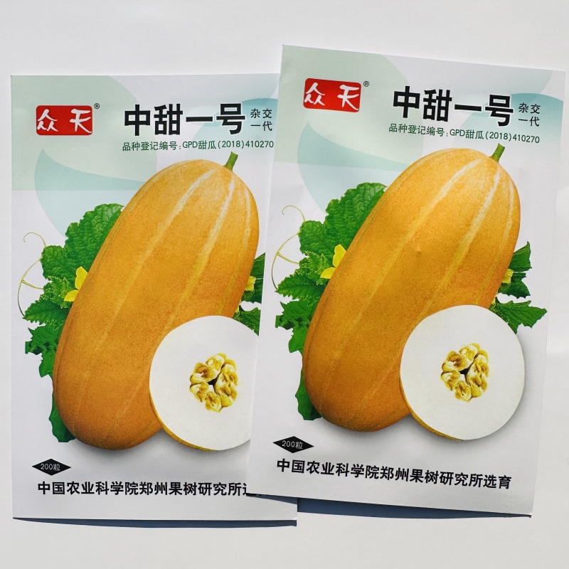 中甜一号甜瓜种子早熟黄金蜜香瓜籽高产耐低温春秋播黄皮香瓜
