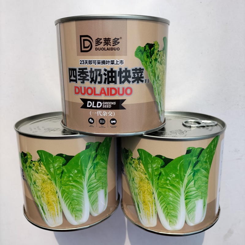 四季奶油快菜种子蔬菜杂交四季速生小白菜种籽耐热抗病无毛蔬