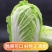 春白菜大量上市了，视频看货并可代发到各大批发市场