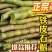 浙江雁荡山红杆软脚铁皮石斛胖(鲜条)云南基地直发现剪