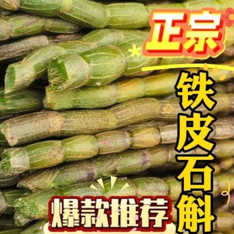 浙江雁荡山红杆软脚铁皮石斛胖(鲜条)云南基地直发现剪
