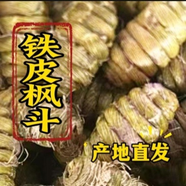 浙江软脚正宗铁皮枫斗干条切片捆条基地批发