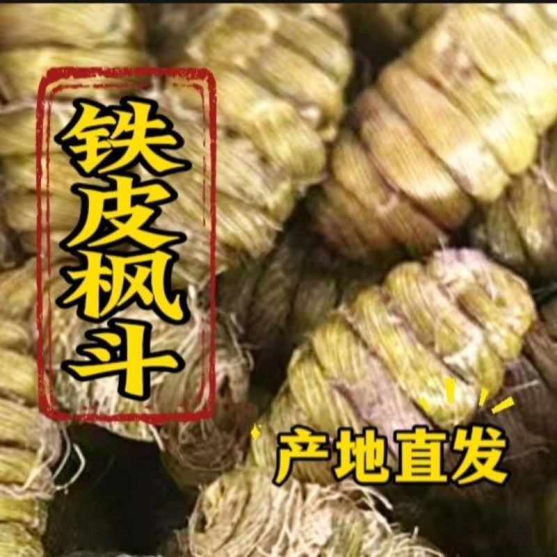 浙江软脚正宗铁皮枫斗干条切片捆条基地批发