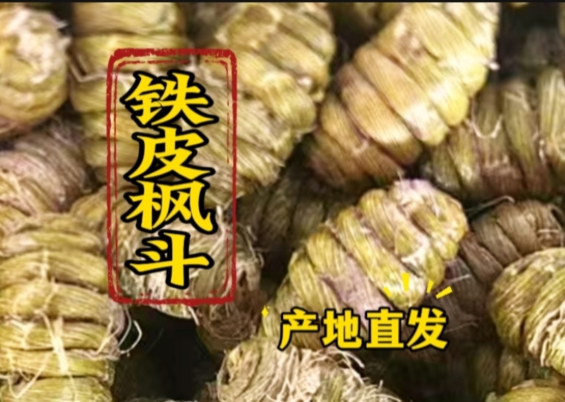 浙江软脚正宗铁皮枫斗干条切片捆条基地批发