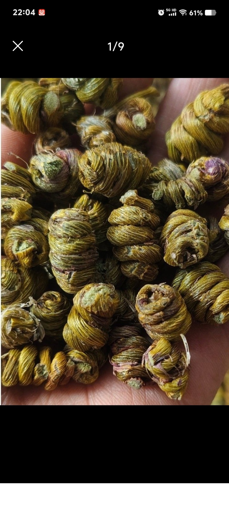 浙江软脚正宗铁皮枫斗干条切片捆条基地批发