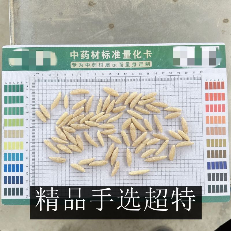 川麦冬批发麦冬产地一手货源规格齐全