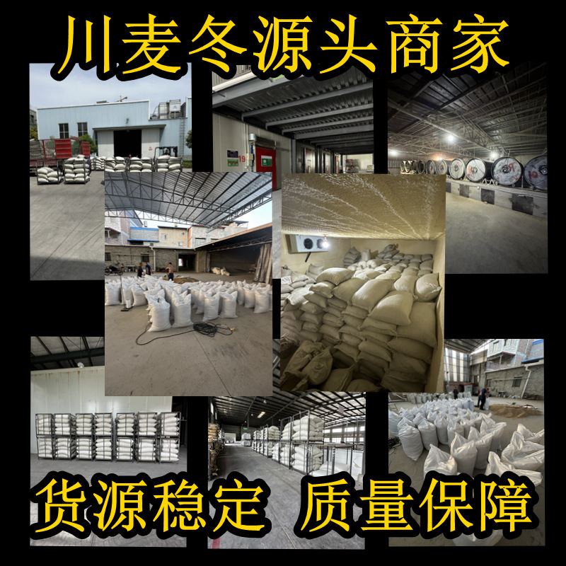 川麦冬批发麦冬产地一手货源规格齐全