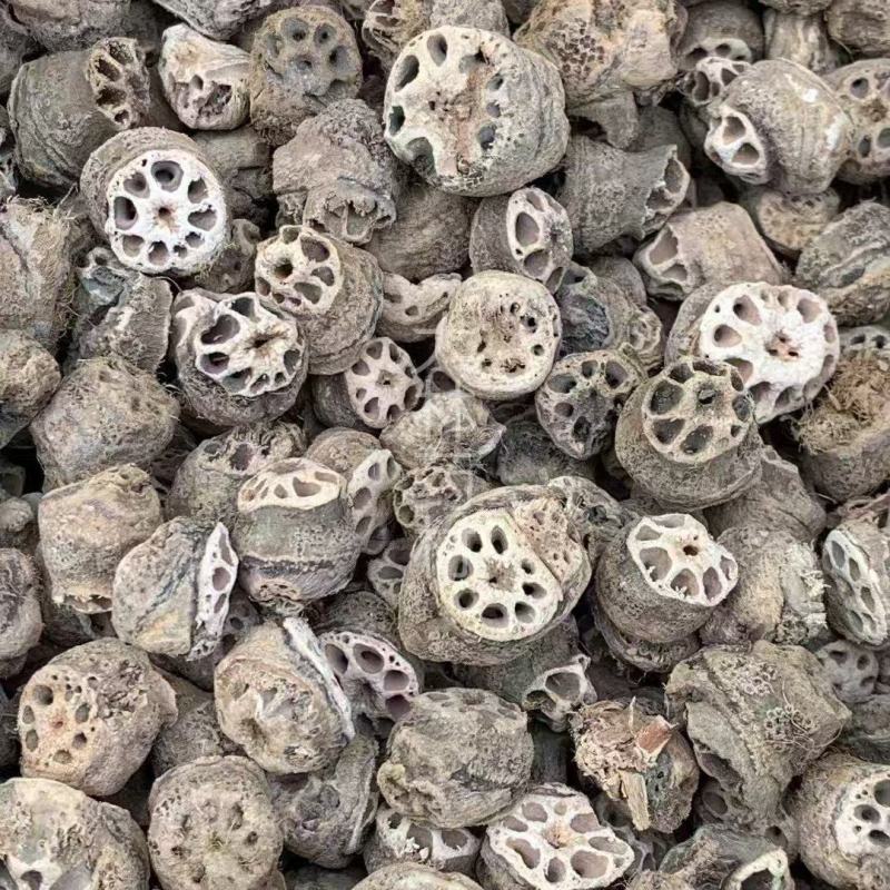 藕节【包邮】三斤起发货可批量可零售量大从优