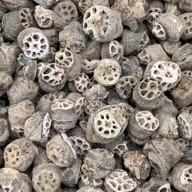 藕节【包邮】三斤起发货可批量可零售量大从优