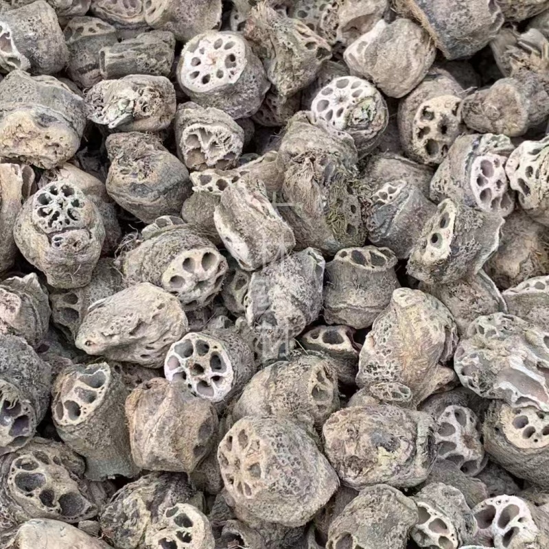 藕节【包邮】三斤起发货可批量可零售量大从优