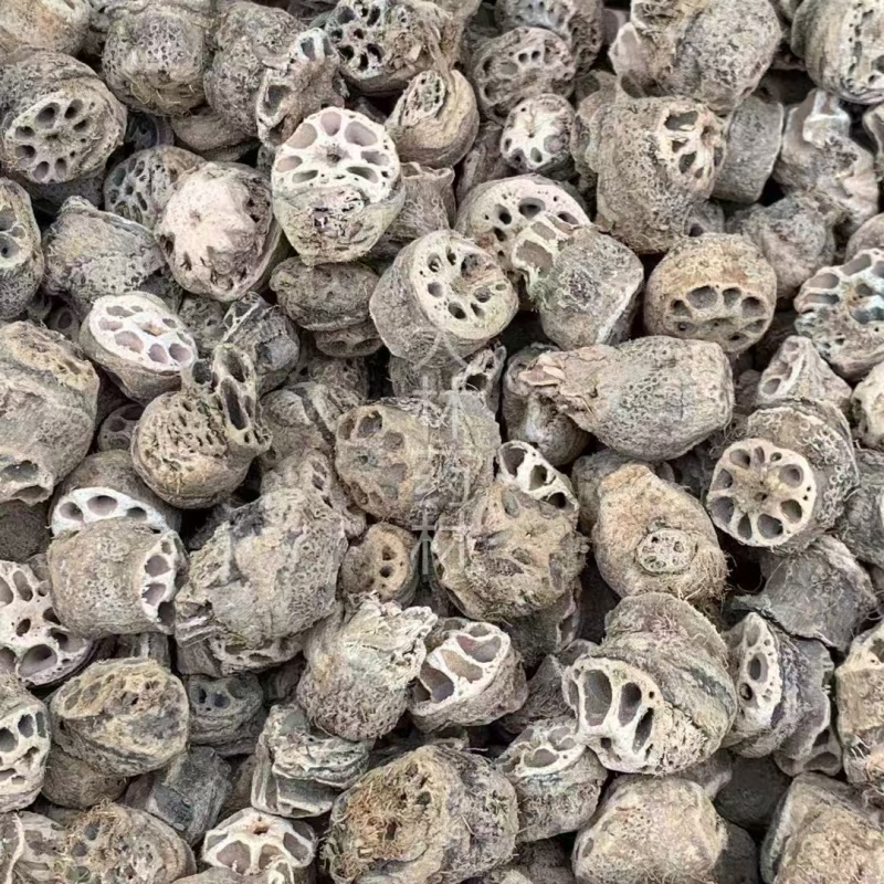 藕节【包邮】三斤起发货可批量可零售量大从优
