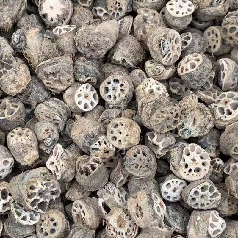 藕节【包邮】三斤起发货可批量可零售量大从优