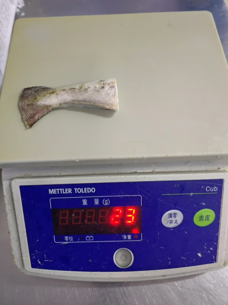 狭鳕鱼鱼尾，烧烤鱼尾。