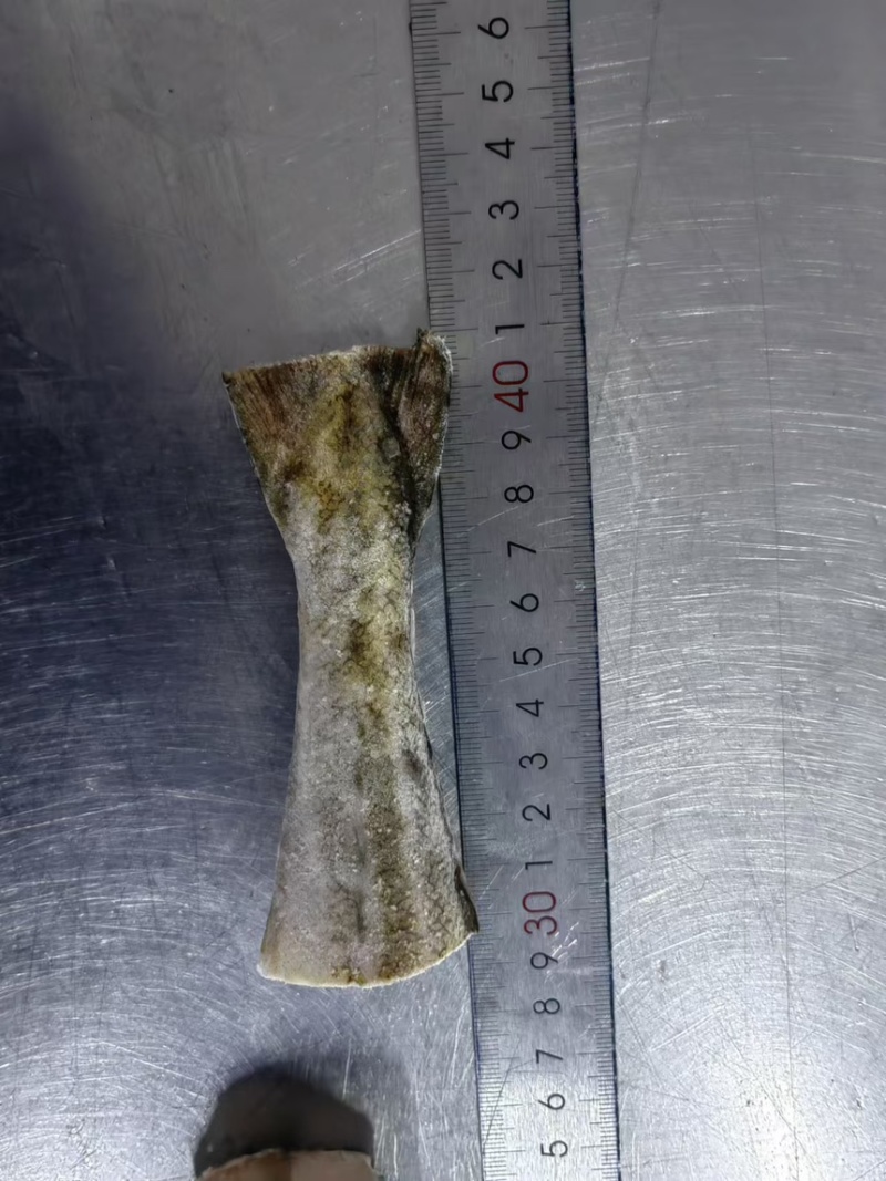 狭鳕鱼鱼尾，烧烤鱼尾。