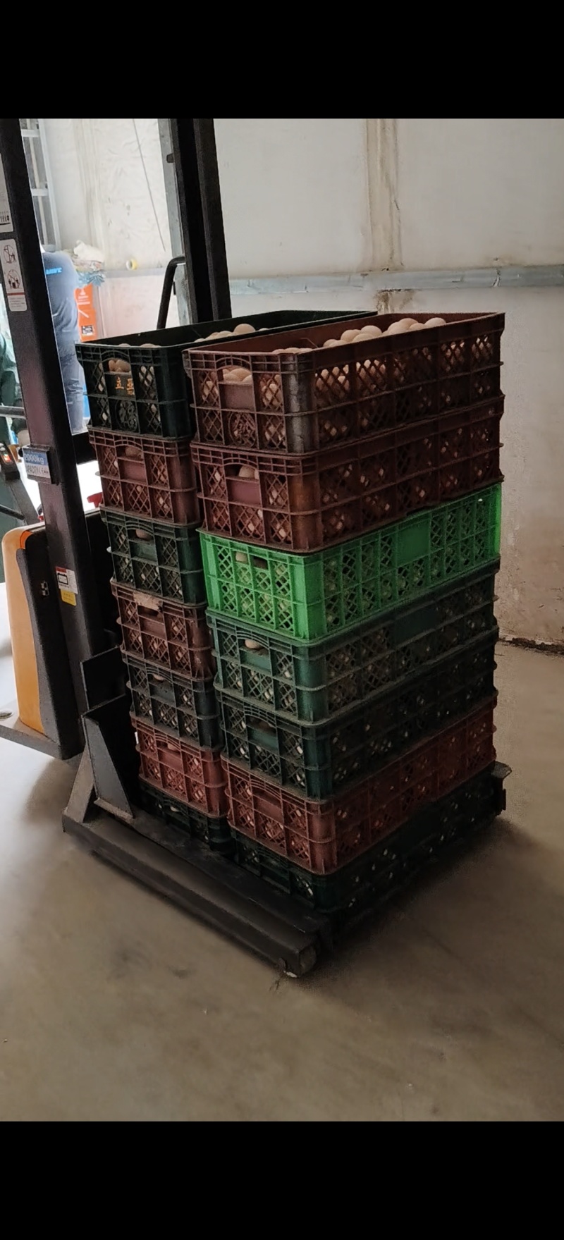粉蛋鸡蛋批发