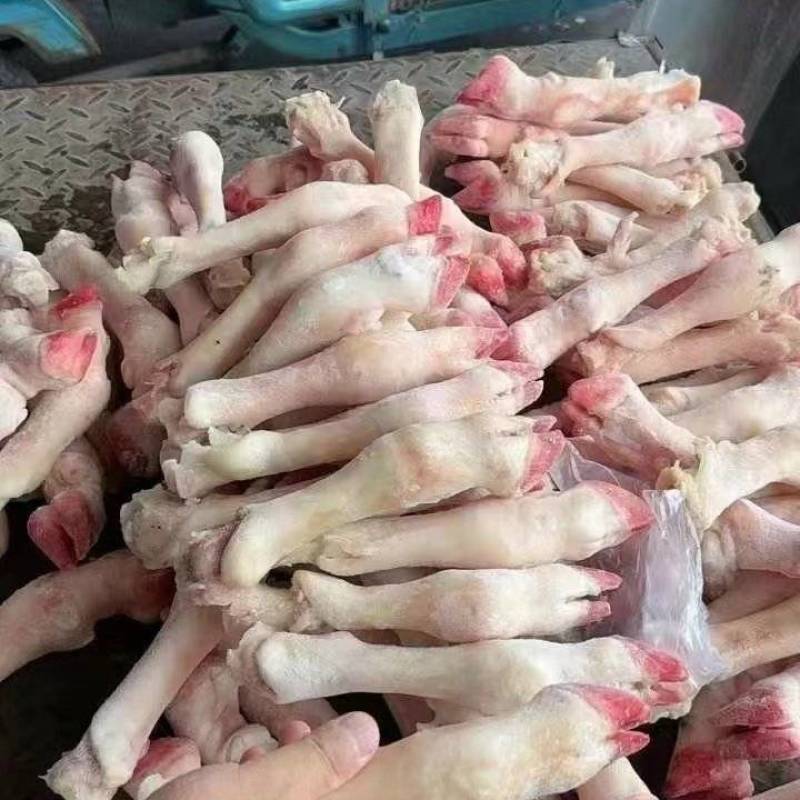 羊蹄纯干不抽筋
