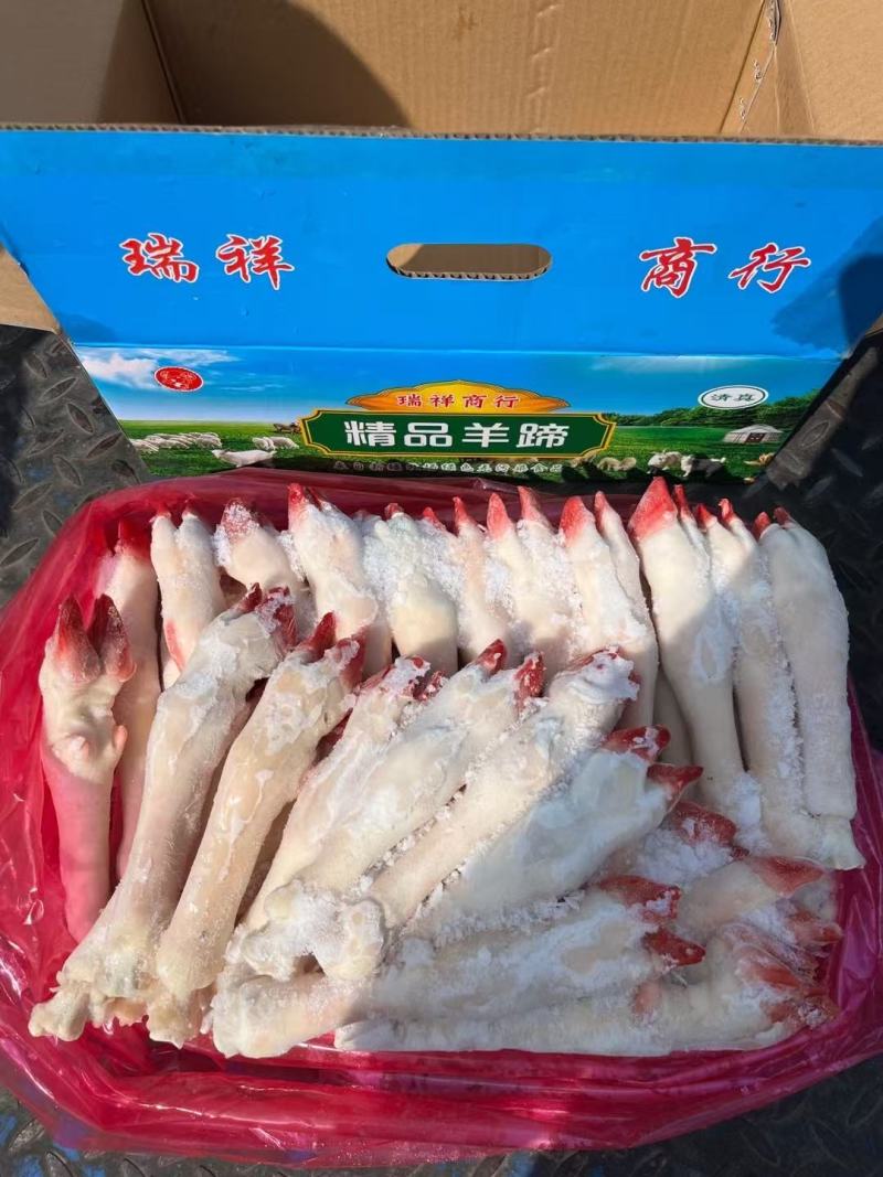 羊蹄纯干不抽筋