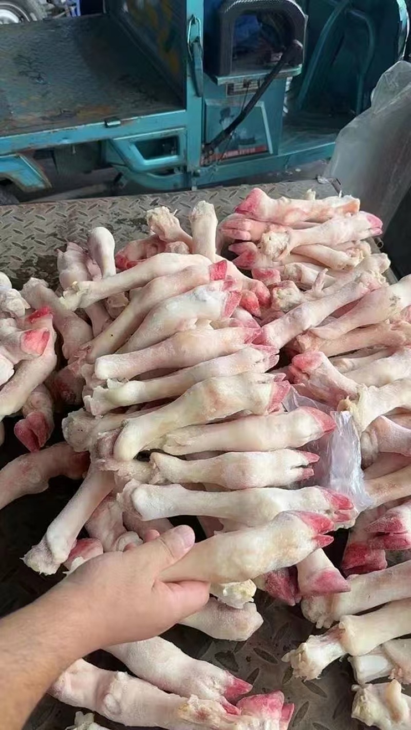 羊蹄纯干不抽筋