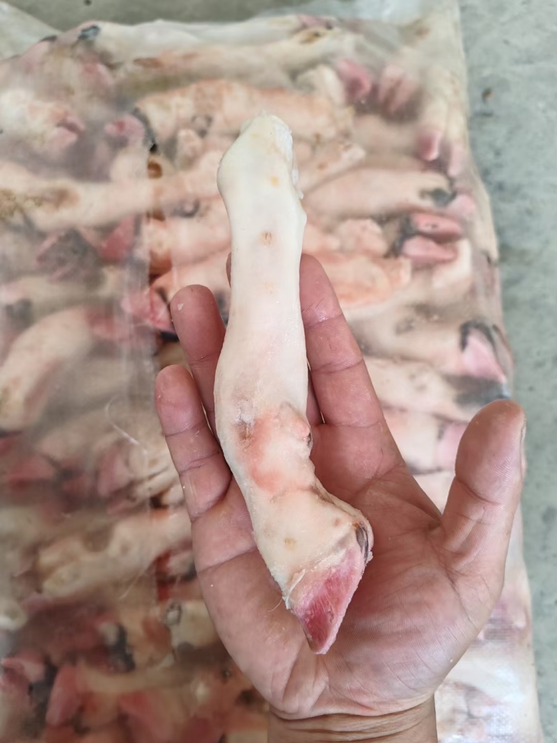 羊蹄纯干不抽筋