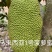 海南菠萝蜜马1，软糯香甜，原产地大量供应电商，市场