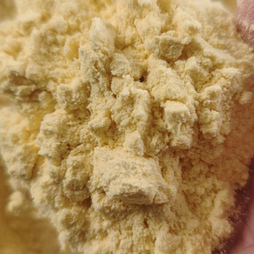 玉米次粉等各种饲料，厂家直销，货源充足，欢迎新老朋友选购