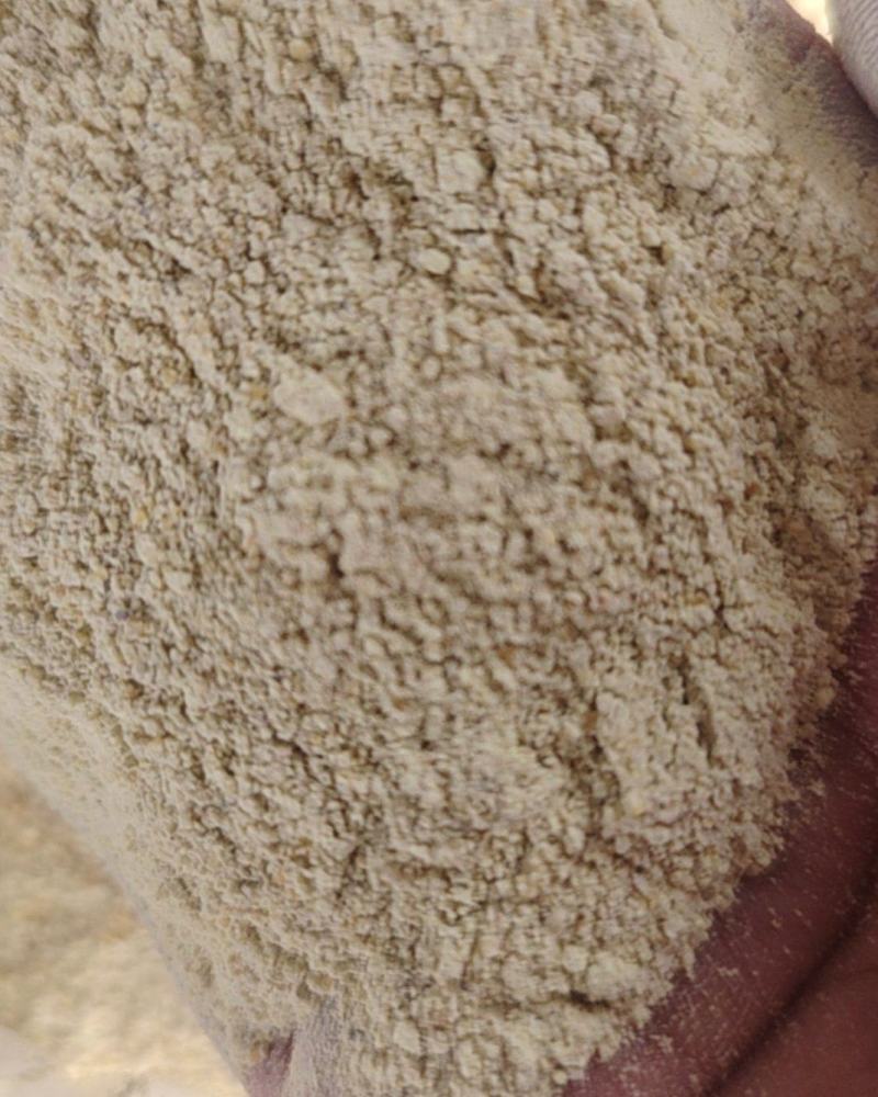 玉米次粉等各种饲料，厂家直销，货源充足，欢迎新老朋友选购
