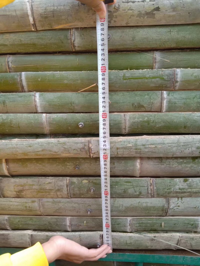 湖南产地直发竹片，育秧片，竹架板，竹竿，楠竹，量大价优