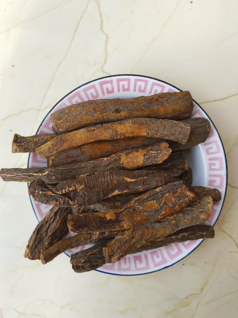 唐古特大黄