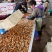 大规格100-200粒的，海红肉，海虹肉，贻贝肉，批发价
