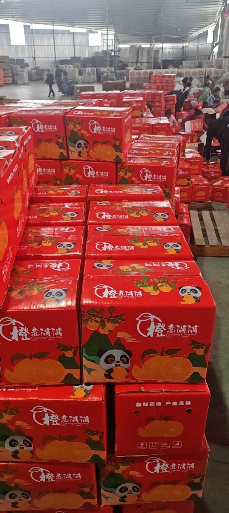 青见耙耙柑产地电商对接一件代发规格齐全代发全国客商
