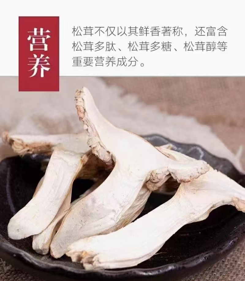 云南楚雄禄丰示去皮松茸干片，产地直发，对接全国厂
