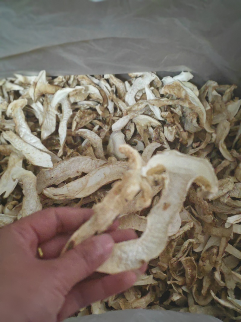 云南楚雄禄丰示去皮松茸干片，产地直发，对接全国厂