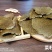 精品菜籽饼青饼全国发货，品质保证，量大从优