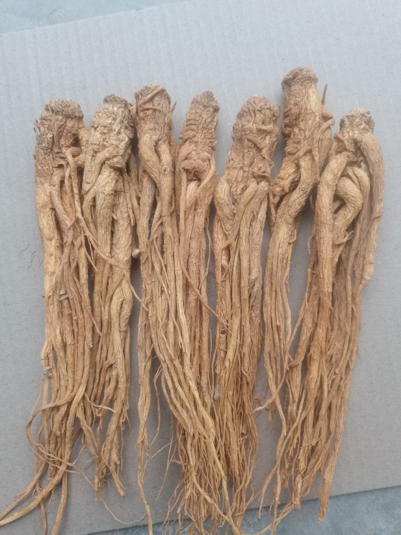 【精品岷县当归】甘肃产地直供一手货源质量保证全国发货