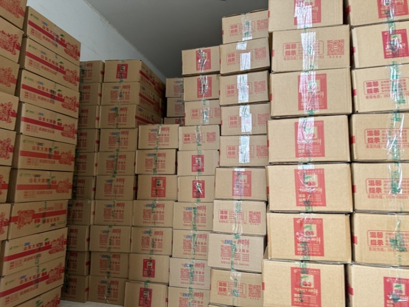 山东美早大樱桃大量上市！露天，大棚，一件代发