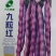 九粒红芸豆种子-产量高富含花青素口感好品质优良