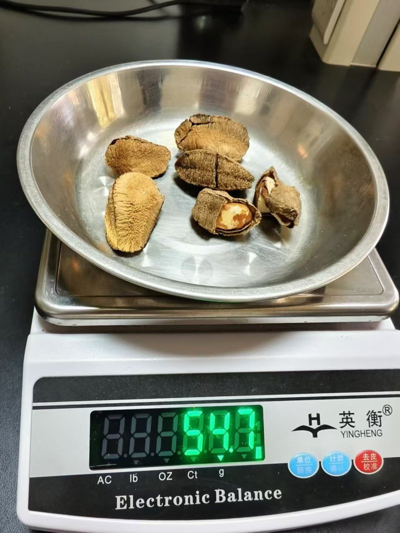 鲍鱼果，沙漠果，全国发货，支持一件代发量大价格可谈！