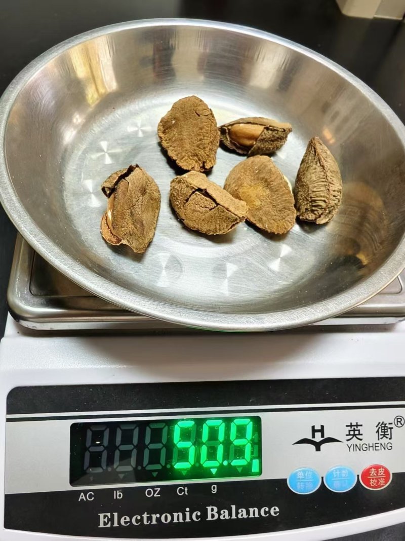 鲍鱼果，沙漠果，全国发货，支持一件代发量大价格可谈！