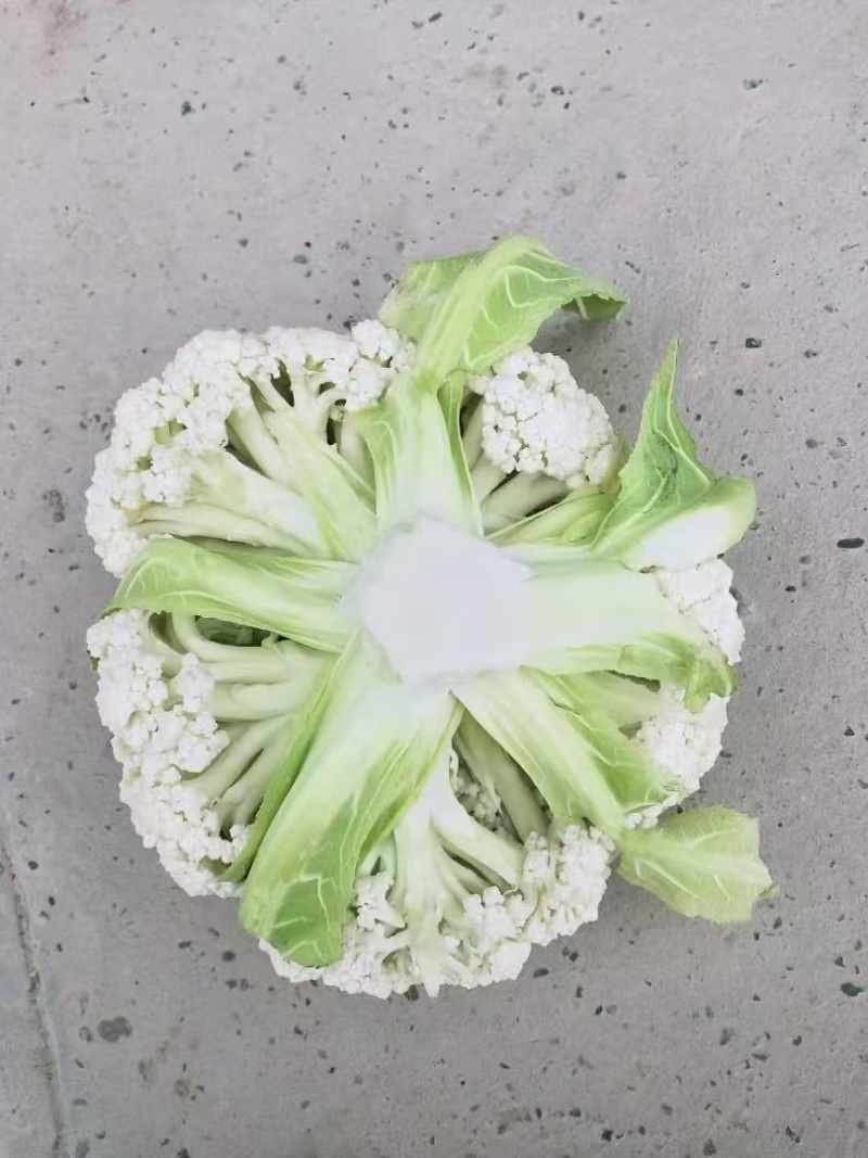 四川松花大量上市中