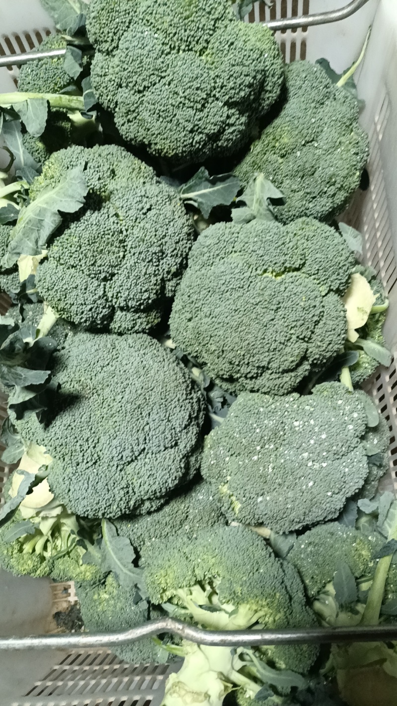西兰花