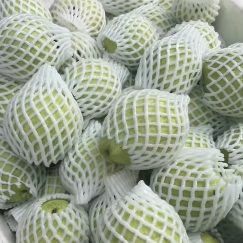 （芭乐）湛江芭乐/白心番石榴/产地货源/全年供应电商市场