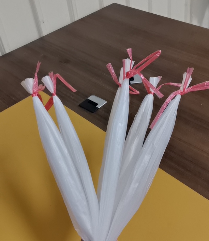 平菇一头活扣扎绳袋