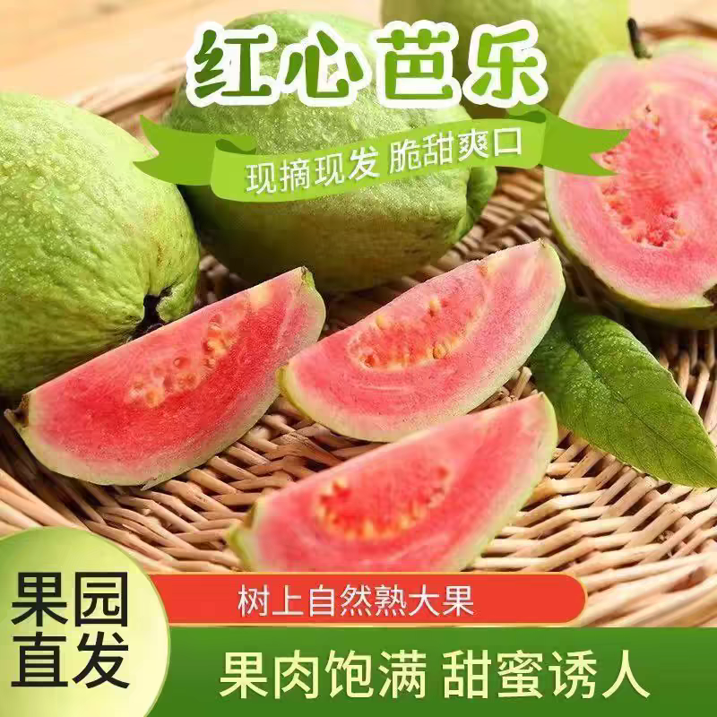 《推荐》红心芭乐/红心番石榴/产地货源/全年供应电商市场