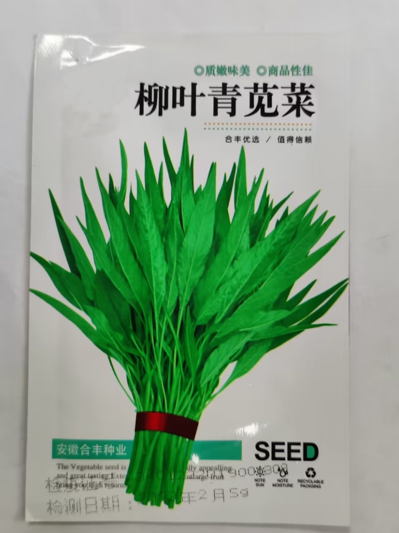 柳叶青苋菜种子-抗病抗逆茎直立营养价值高