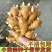 《小黄姜种子》已脱毒催芽/提供种植技术/抗病高产/全国发