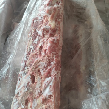 母猪龙骨