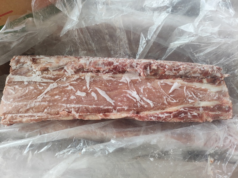 母猪龙骨