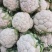 陕西汉中菜花实菜花量大质优产地直销一手货源保质保量