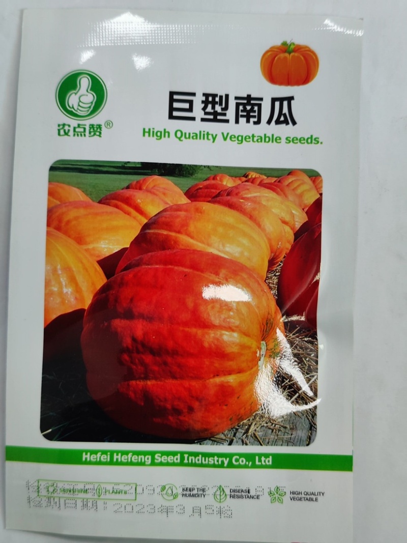 巨型南瓜种子-口感细面甜糯可观赏/食用/饲用营养丰富