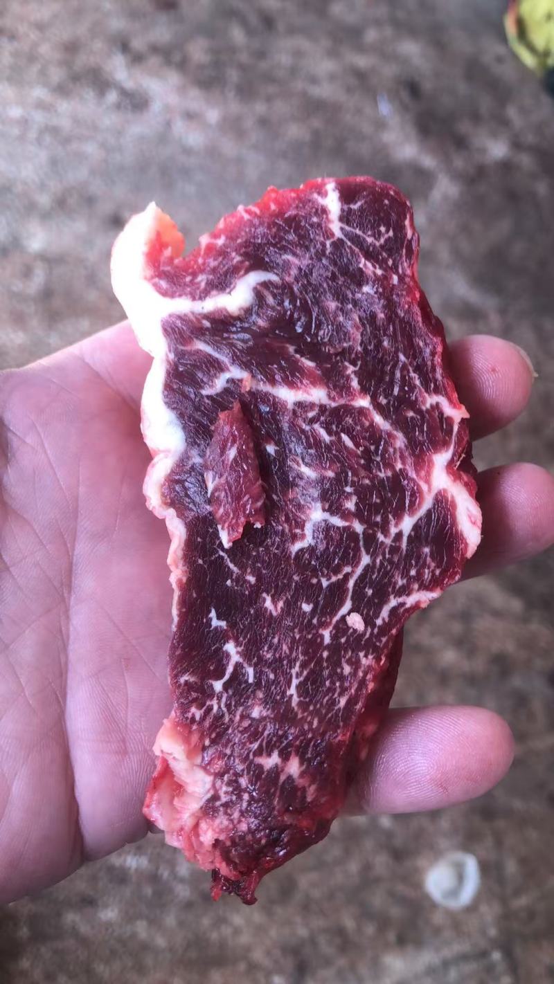 专业潮汕雪花牛肉
